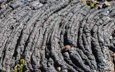 Pahoehoe ribbons of lava along the Broken Top Trail in Craters of the Moon National Monument