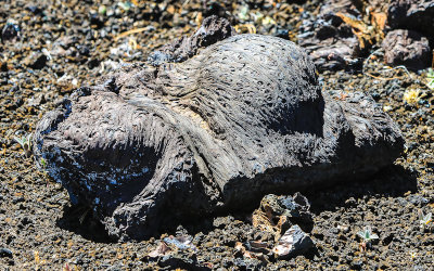 Broken chunk of lava along the Wilderness Trail in Craters of the Moon National Monument