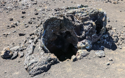 Large vertical tree form along the Wilderness Trail in Craters of the Moon National Monument