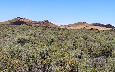 Cinder craters along the Wilderness Trail in Craters of the Moon National Monument