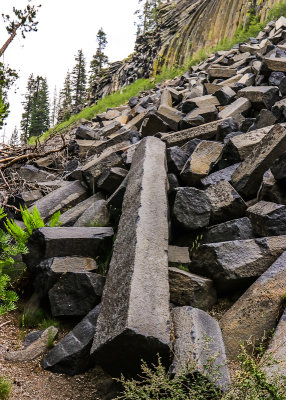 A felled basalt column on a fragment pile in Devils Postpile National Monument