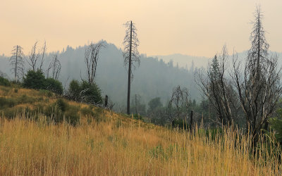 The hills during the 2018 Ferguson Fire in Yosemite National Park