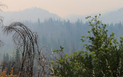 Smoke fills the air during the 2018 Ferguson Fire in Yosemite National Park