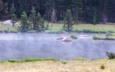 Pond in Dana Meadows steams after a rainstorm along the Tioga Road in Yosemite National Park