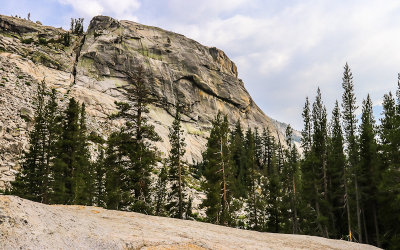 Large granite outcropping along the Tioga Road in Yosemite National Park