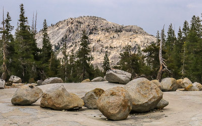 Glacier erratic boulders along the Tioga Road in Yosemite National Park