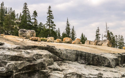 Erratic boulders deposited by glacial retreat next to the Tioga Road in Yosemite National Park