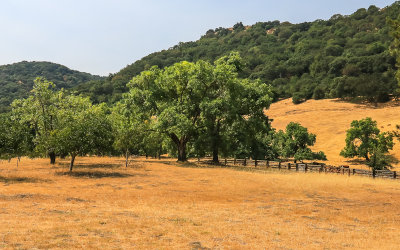 Hills around Tao House in Eugene ONeill National Historic Site