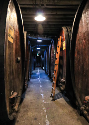 A row of large champagne cask in the Korbel Champagne Cellars