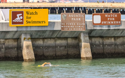 Watch for Swimmers in the Aquatic Park in San Francisco Maritime NHP