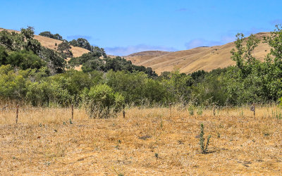 The landscape near the Badger Hills Trailhead in Fort Ord National Monument