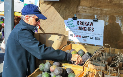 Russ picking out avocados at the Farmers Market