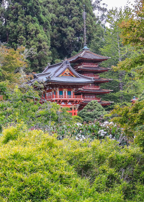 Golden Gate Park  California