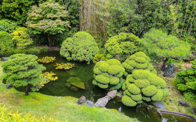 Garden area at the Japanese Tea Garden in Golden Gate Park