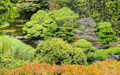 Sprawling garden at the Japanese Tea Garden in Golden Gate Park