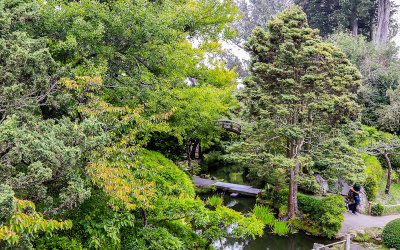 Arched Drum Bridge in the gardens at the Japanese Tea Garden in Golden Gate Park