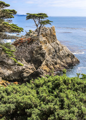 Rocky perch of The Lone Cypress along the 17 Mile Drive - Pebble Beach