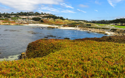 White sand beaches from the Fanshell overlook along the 17 Mile Drive - Pebble Beach