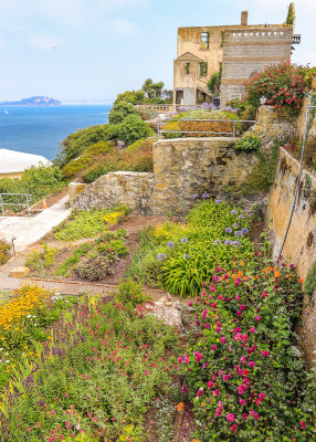 Ornamental garden below the cellhouse on the western slope of Alcatraz Island