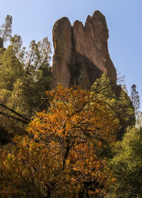 Formation framed by trees from the Balconies Cliff Trail in Pinnacles National Park