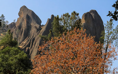 Trees frame volcanic rock formations as seen from the Balconies Cliff Trail in Pinnacles National Park
