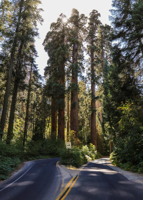The Four Guardsmen dividing and towering over the Generals Highway in Sequoia National Park