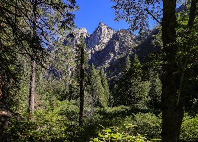 Granite peak in the morning from along the Kanawyers Trail in Kings Canyon National Park