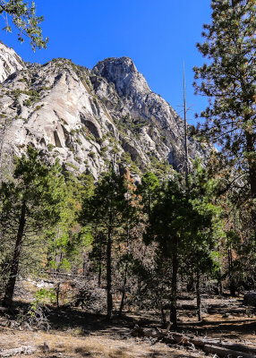 View of granite peak from along the Kanawyers Trail in Kings Canyon National Park