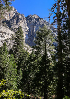 Granite cliffs as viewed from the Kanawyers Trail in Kings Canyon National Park