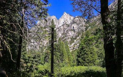 Afternoon view of a granite peak along the Kanawyers Trail in Kings Canyon National Park
