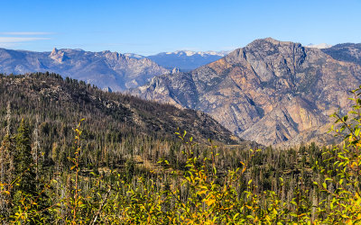 View from the Big Meadows area in Giant Sequoia National Monument
