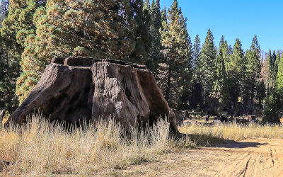 Stump Meadow along the Boole Tree road in Giant Sequoia National Monument