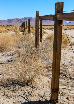 Barbed wire fence along the camp perimeter in Manzanar National Historic Site