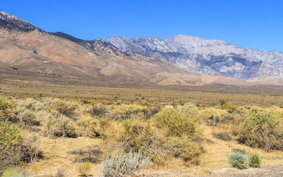 Desert and foothills along the Eastern Sierras