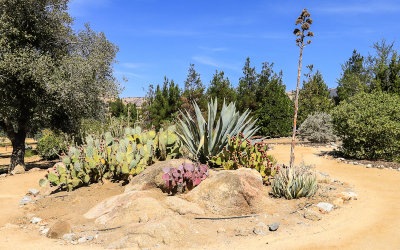 Desert Garden representing the Chavez birthplace in Yuma Arizona in Cesar E. Chavez National Monument