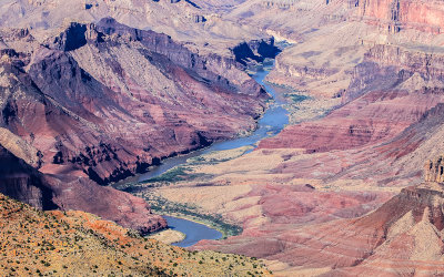 The Colorado River flows through the canyon as seen from Lipan Point along the South Rim in Grand Canyon NP
