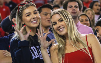 Cats fans celebrate in the stands after a TD