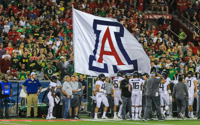 Arizona flag flies behind the Ducks bench after Cats TD
