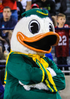 The Oregon Duck grows frustrated with the flow of the game