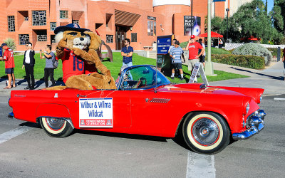 Arizona Mascots Wilber and Wilma Wildcat ride in the parade