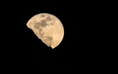 The January 31 Super Moon rising over the Tucson Mountains