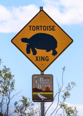 Tortoise Xing warning sign in Gold Butte National Monument in Nevada
