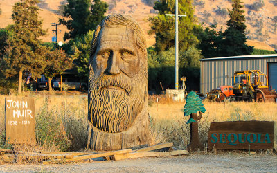 John Muir and Sequoia carvings in Lemon Cove California