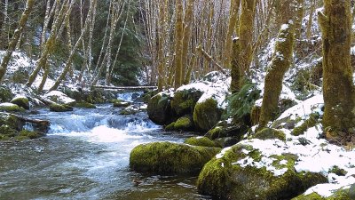 Cascade Creek, Trib to Green