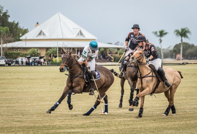 Polo Sarasota