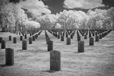 Florida National Cemetery.jpg