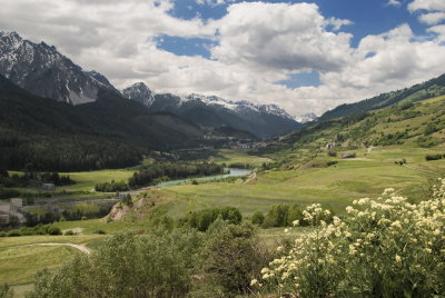 Swiss Alps.jpg