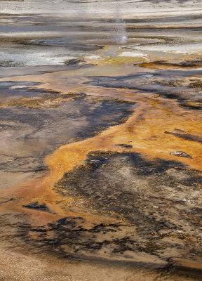 YSNP Prismatic Springs_37.jpg