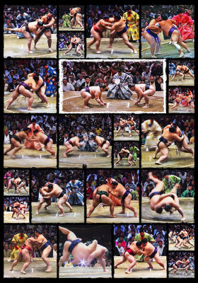 SUMO games