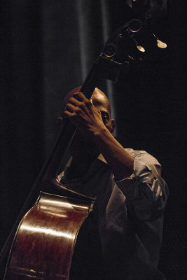 Reggie Washington, bass
